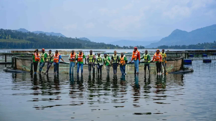 Rwanda : Kivu Choice investit 10 millions de dollars pour booster l’aquaculture