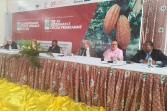 Marché du cacao café : des dispositions déjà prises par le Cameroun pour se conformer au règlement européen sur la déforestation