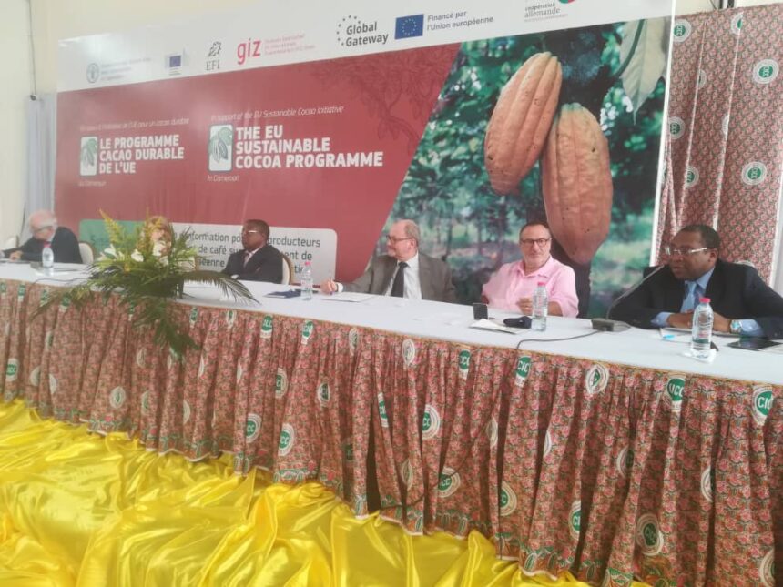 Marché du cacao café : des dispositions déjà prises par le Cameroun pour se conformer au règlement européen sur la déforestation