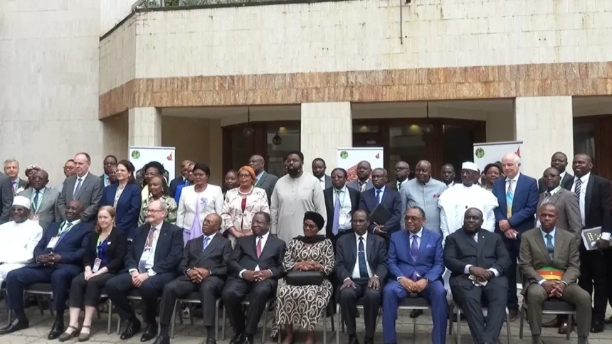 Cameroun : le plaidoyer de Yaoundé pour une chaîne de valeur mondiale du cacao durable