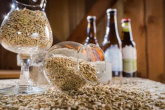 Afrique : le marché de malt en effervescence sur fond de boom brassicole