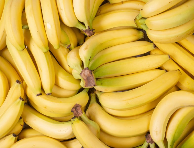 Banane plantain en Algérie : un levier stratégique pour l'économie locale