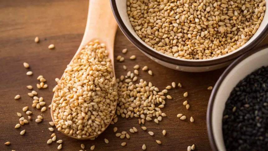 Transformation du sésame en Afrique : vers une agro-industrie durable et compétitive en Afrique de l’Ouest