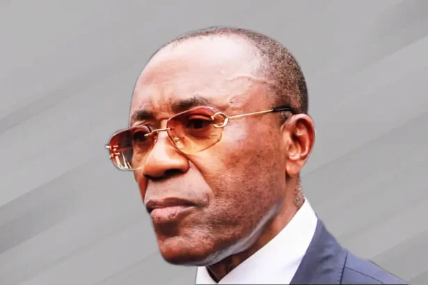 Prof. Fuh Calistus Centry : « Le Cameroun passe à l’offensive industrielle et minière »