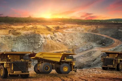 BWA Group lance la phase de terrain d’Aracari au Cameroun avec SRK : un signal fort pour les investisseurs