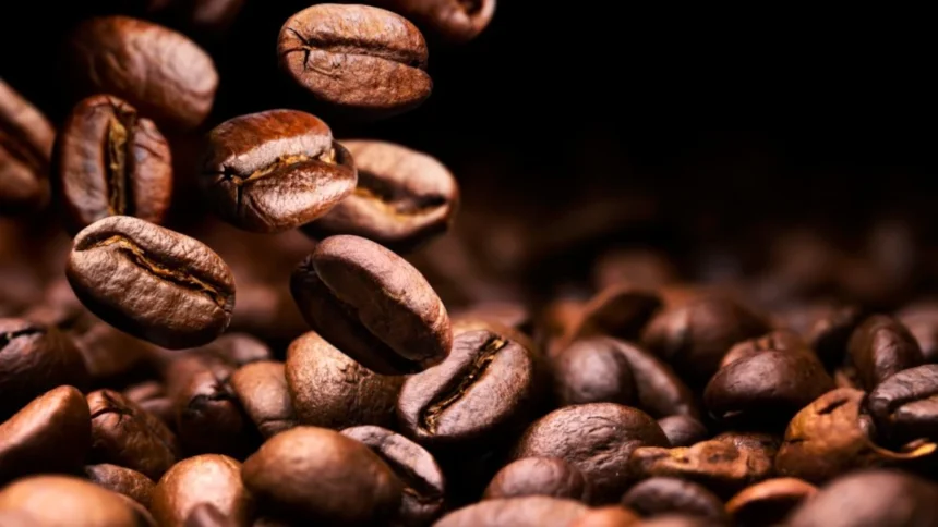 arabica cameroun