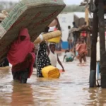 Cameroun : près de 89 milliards FCFA mobilisés pour l’employabilité et l’entrepreneuriat dans l’Extrême-Nord