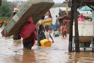 Cameroun : près de 89 milliards FCFA mobilisés pour l’employabilité et l’entrepreneuriat dans l’Extrême-Nord