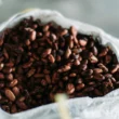 Ghana : 50 000 tonnes de cacao bloquées dans les ports, un choc de trésorerie menace 15 % des exportations