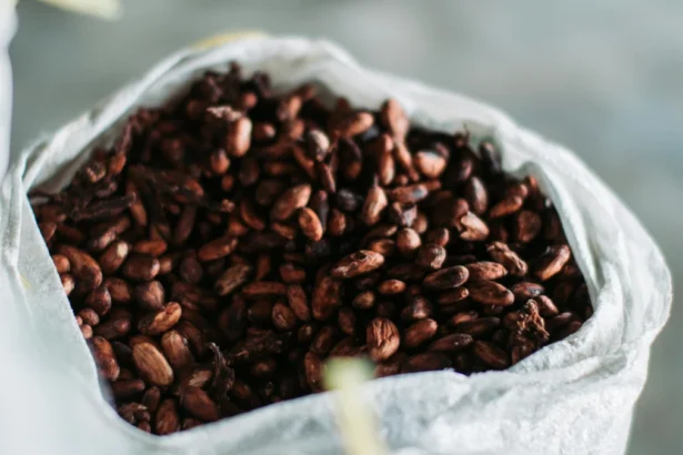 Ghana : 50 000 tonnes de cacao bloquées dans les ports, un choc de trésorerie menace 15 % des exportations