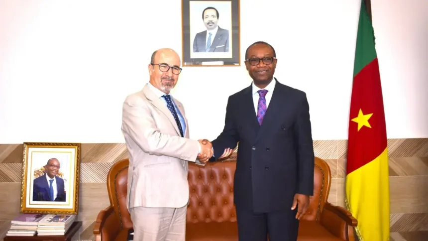 les secteurs prioritaires du financement des PME au Cameroun soutenus par la BEI