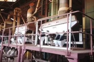 Café au Cameroun : l'UCCAO inaugure une usine à 1 milliard FCFA à Bafoussam