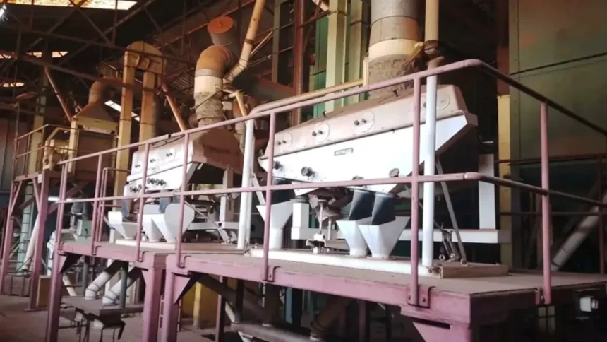 Café au Cameroun : l'UCCAO inaugure une usine à 1 milliard FCFA à Bafoussam