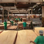 Bois au Gabon : avec +7 % de production au troisième trimestre 2025, la filière confirme son potentiel d’investissement