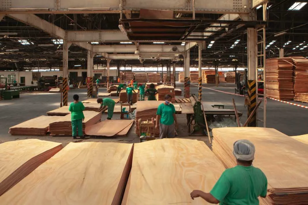 Bois au Gabon : avec +7 % de production au troisième trimestre 2025, la filière confirme son potentiel d’investissement