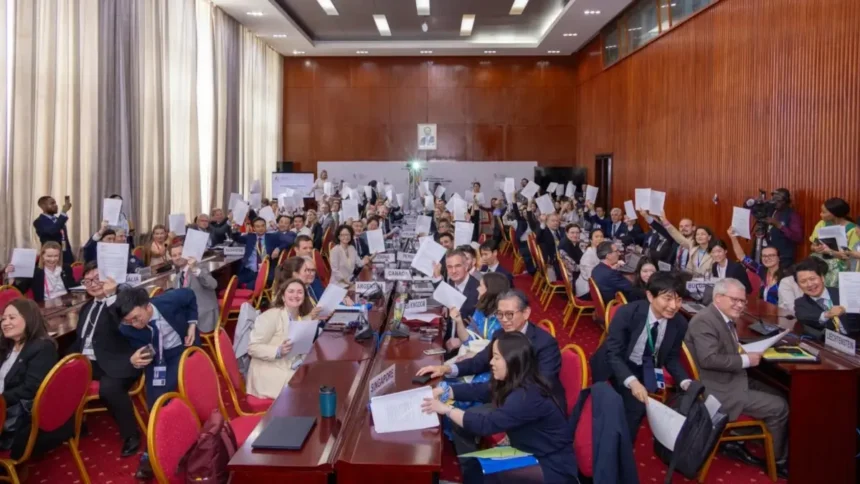 Commerce électronique : 66 membres de l'OMC adoptent des arrangements intérimaires