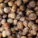 Karité : le Nigeria verrouille ses exportations de noix brutes jusqu'en 2027