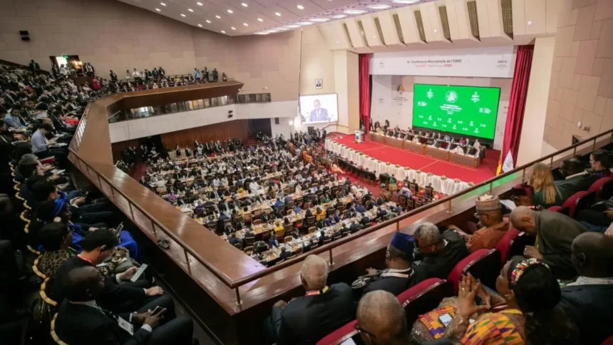 OMC 2026 : l’Afrique de l’Ouest veut devenir un mégapole de transformation du coton