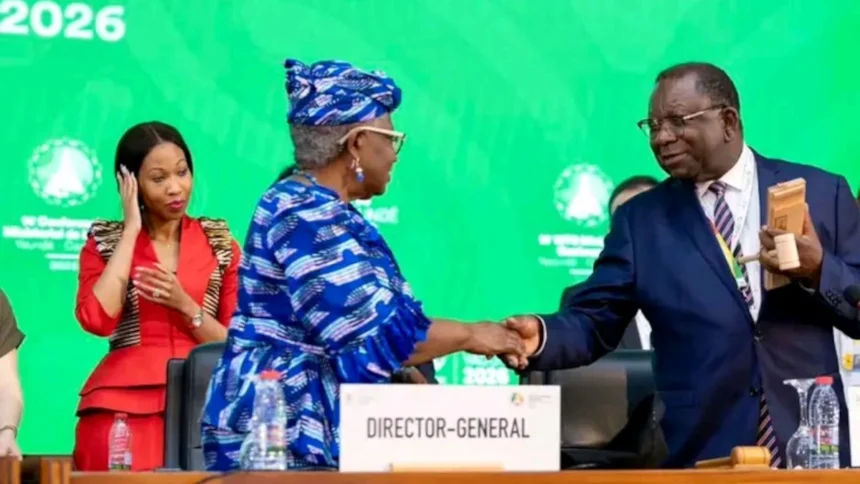 CM14  OMC : Négociations intenses et résolutions concrètes pour le commerce international