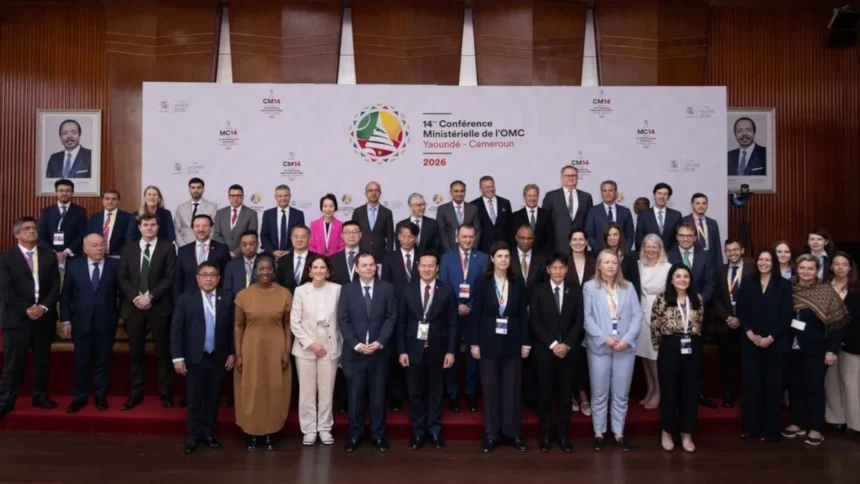 OMC à Yaoundé : Pourquoi la CM14 marque un tournant pour le commerce en Afrique