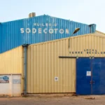 Sodecoton : pourquoi l'AFD annule un prêt crucial de 30 millions d'euros au Cameroun