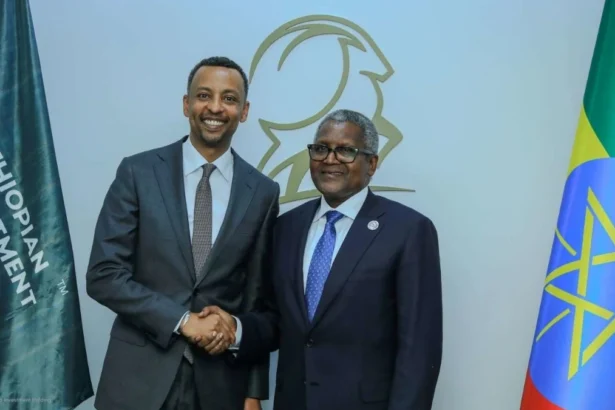 Engrais : comment l'Éthiopie et Dangote s’attaquent à la souveraineté agricole africaine