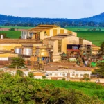 Sosucam investit 2,5 milliards FCFA à Nkoteng : Un tournant industriel