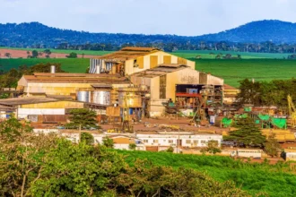 Sosucam investit 2,5 milliards FCFA à Nkoteng : Un tournant industriel
