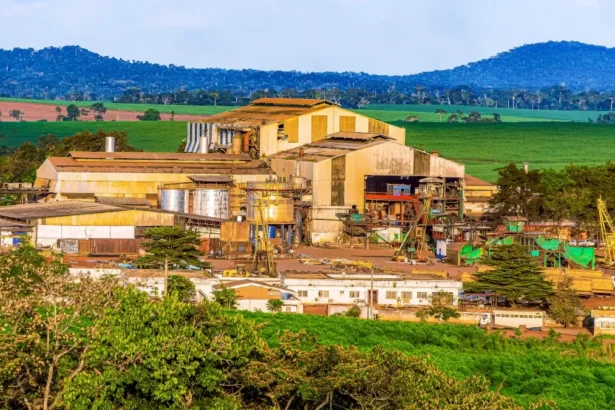 Sosucam investit 2,5 milliards FCFA à Nkoteng : Un tournant industriel