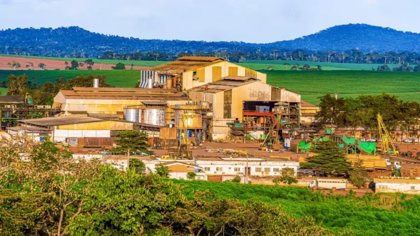 Sosucam investit 2,5 milliards FCFA à Nkoteng : Un tournant industriel