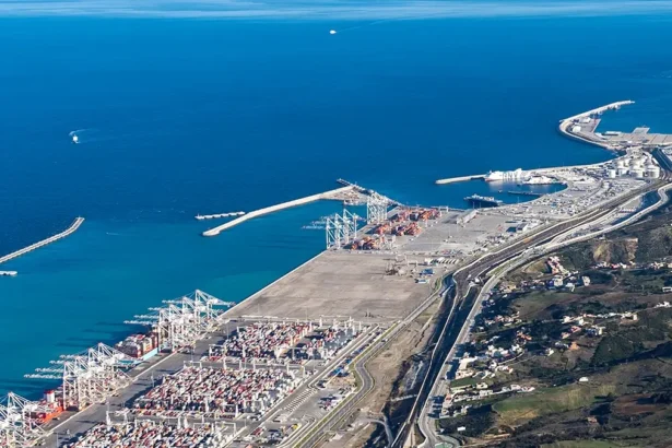 Afrique du Nord vs Afrique subsaharienne : deux trajectoires industrielles, un même défi de transformation