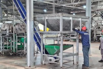 Transformation locale, emplois, valeur ajoutée : le pari industriel du Burkina Faso dans l’anacarde