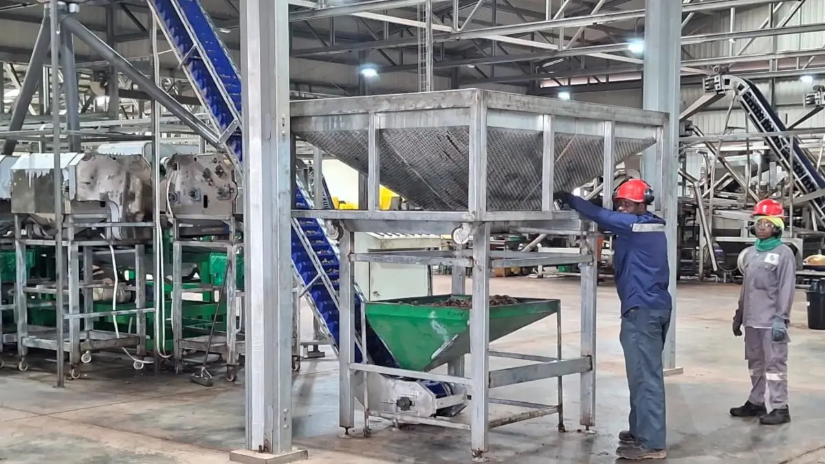 Transformation locale, emplois, valeur ajoutée : le pari industriel du Burkina Faso dans l’anacarde