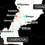 Corridor ferroviaire Cameroun-Tchad : désaccord sur un tracé à plus de 4 000 milliards FCFA