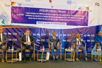 Industrie : le Cameroun et l’ONUDI veulent repositionner les zones industrielles de la MAGZI face aux défis de compétitivité