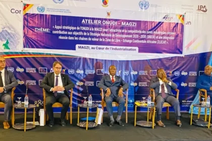 Industrie : le Cameroun et l’ONUDI veulent repositionner les zones industrielles de la MAGZI face aux défis de compétitivité