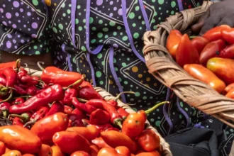Cameroun : l'inflation se maintient à 2,6 % en mai 2026 malgré une flambée des prix alimentaires
