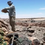 Hope & Gorob : Hartree Metals sécurise la future production cuprifère namibienne