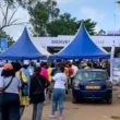 Salon PROMOTE 2026 : Plateforme stratégique pour les entreprises au Cameroun