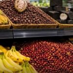 Exportations agricoles : le Cameroun perd près de 30 % de ses recettes en trois mois