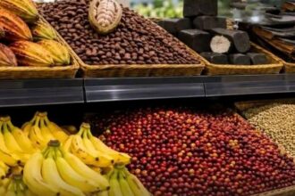 Exportations agricoles : le Cameroun perd près de 30 % de ses recettes en trois mois
