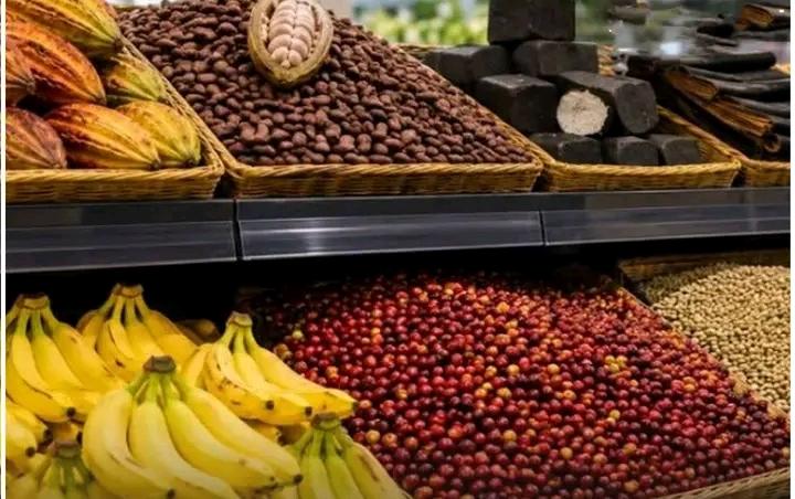 Exportations agricoles : le Cameroun perd près de 30 % de ses recettes en trois mois