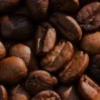 Ouganda : les recettes des exportations de café chutent de 38 % en mai, sous l’effet du recul des prix mondiaux