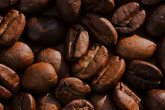 Ouganda : les recettes des exportations de café chutent de 38 % en mai, sous l’effet du recul des prix mondiaux