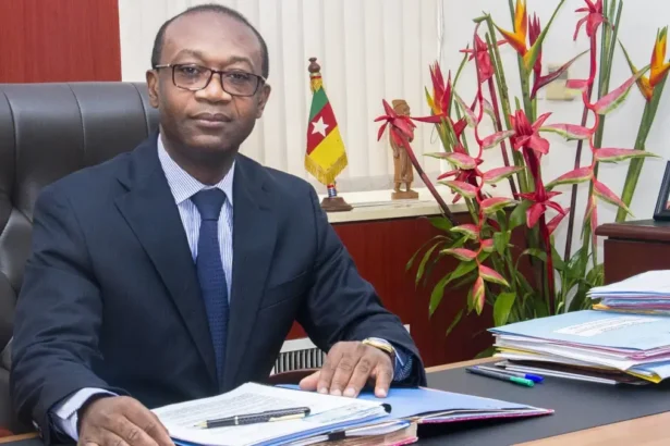 Annuaire MINPMEESA 2025 : les PME, piliers de l'économie formelle au Cameroun