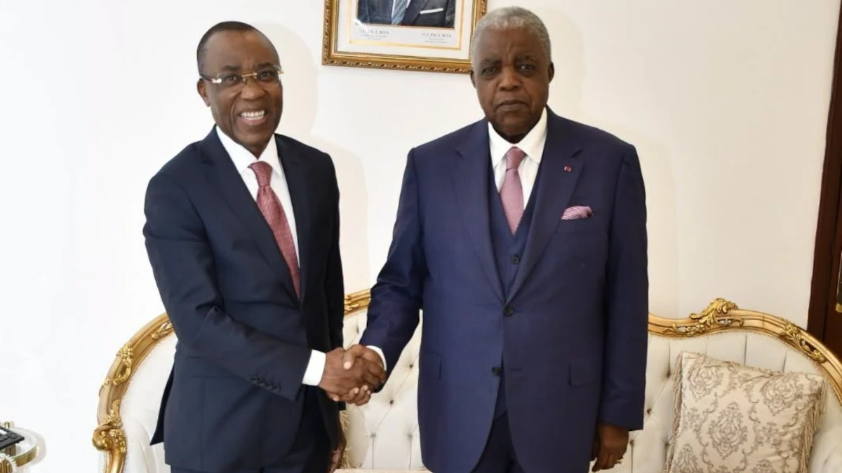 mines d'or au cameroun
